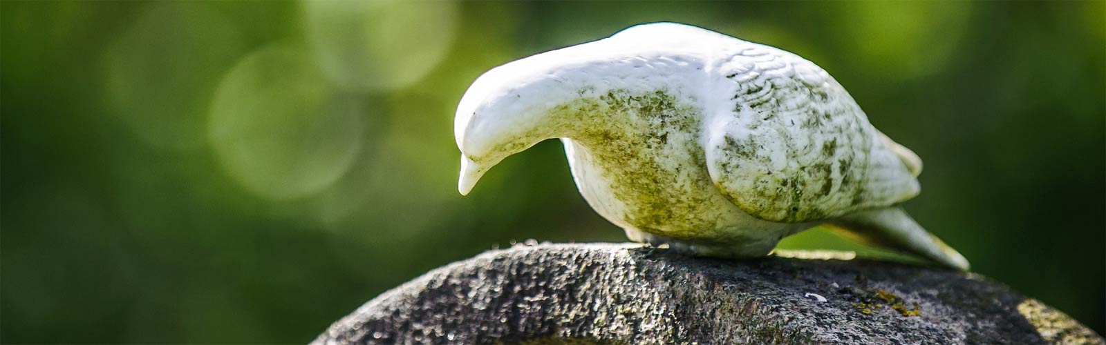 Bestattungen Rösch in Forchheim - Titelbild